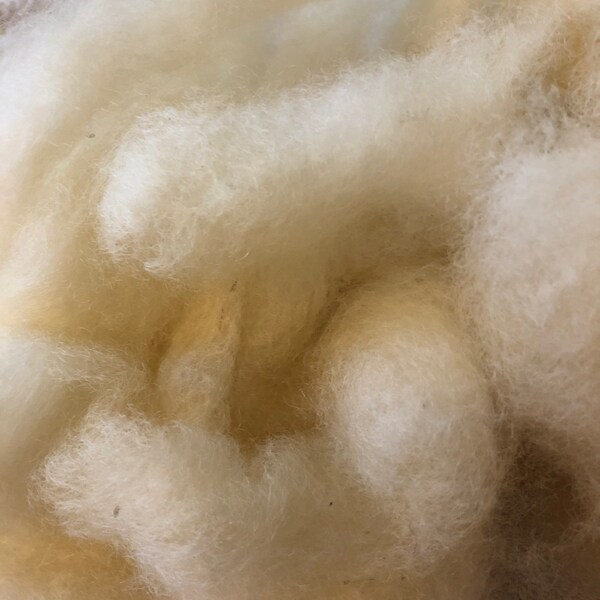 Border Leicester Natural Wool Roving