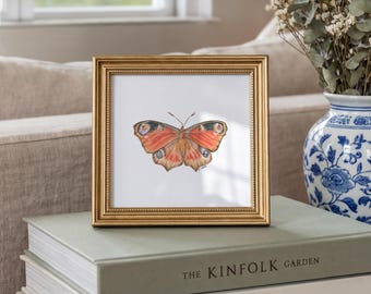 Peacock Butterfly Painting Print Watercolor Butterfly Large Butterfly Wall Art Butterfly Shelf Art Rust and Blue Wall Art Orange Minimalist