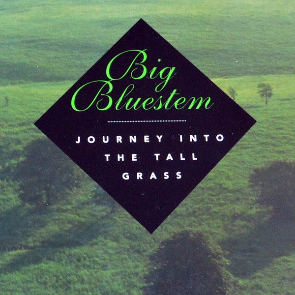 SALE! Book, Big Bluestem: Journey Into the Tall Grass - Annick Smith, Photos, Native People/Buffalo, Great Gift - Vintage - Rare, Fabulous!