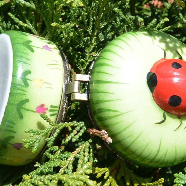 Miraculous Ladybug Jewelry Box Etsy