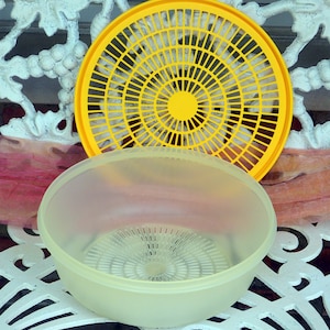 VERKAUF! Tupperware Aufbewahrungs-Set - UNBENUTZT - 2 Stück, Offenes Design für Frische/sicheres Waschen, Tupperware-Liebhaber - Vintage - Fabelhaft!