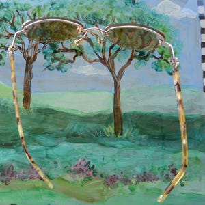 May include: Oval-shaped sunglasses with a silver frame and brown lenses. The temples have a tortoise shell pattern. The background is a painting of a landscape with trees, grass, and a blue sky.