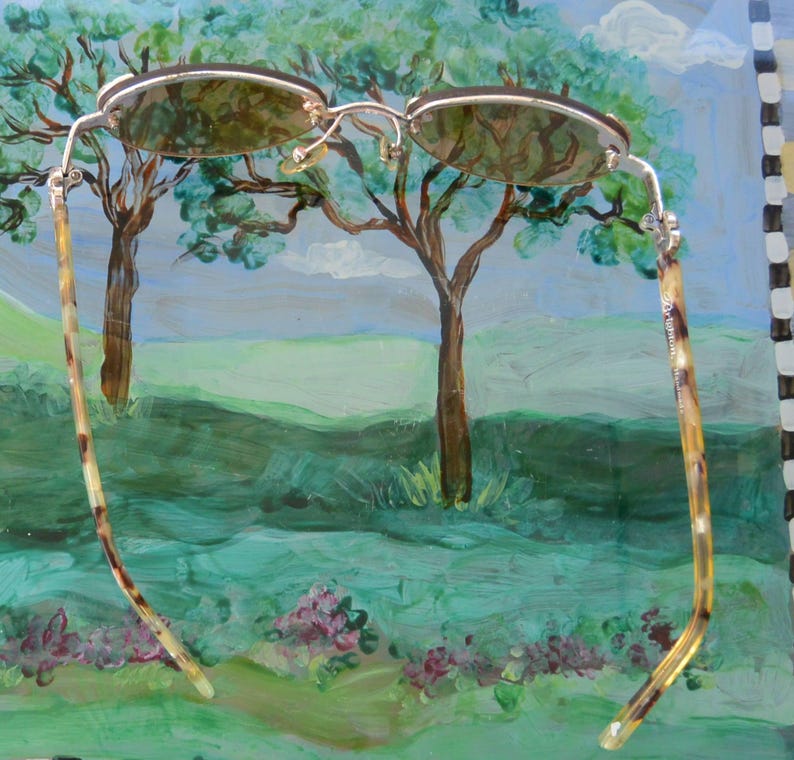 May include: Oval-shaped sunglasses with a silver frame and brown lenses. The temples have a tortoise shell pattern. The background is a painting of a landscape with trees, grass, and a blue sky.