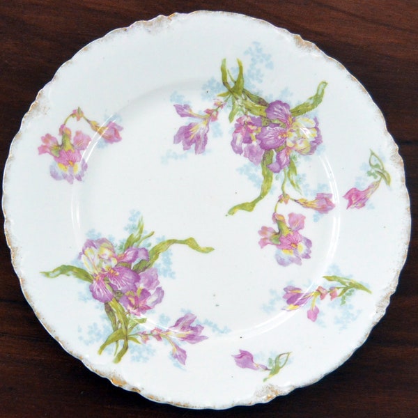 SALE! Rosenthal Versailles Bavaria, Dinner Plate - Purple Irises, Botanical Pattern, Fine Porcelain, Great Gift - Antique - Rare, Fabulous!