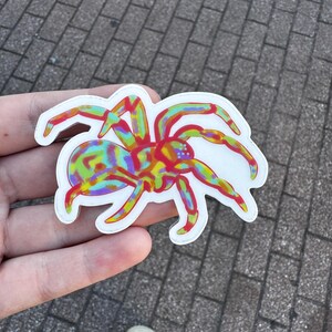 adesivo ragno colorato, ragno arcobaleno, tarantola, ragno lupo, adesivi regalo strano, adesivi per amanti degli insetti, adesivi discreti per l'orgoglio gay.