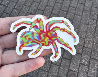 Adhesivo de vinilo de araña arcoíris: Arte de tarántula colorida