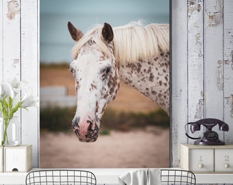 Canvas Art Horse art print, White Horse Decor, close up horse photography canvas art, equestrian decor large wall art, hobby horse tack