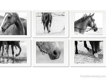 Mother's day gift, Set of 6 horses prints with black and white photography, Horse photography on the beach, bedroom decor