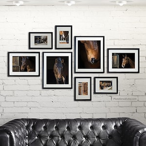 Horse decor/gallery wall/Horse Photography/Horse tack/large wall art/personalized wall decor/girl room decor/horse prints/ image 1