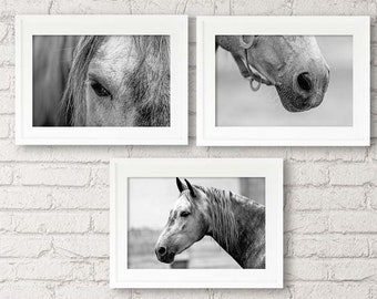 Horse art set of 3 prints/headboard Large wall art/black and white horse photography/horse nursery decor/horse tack/bedroom wall decor