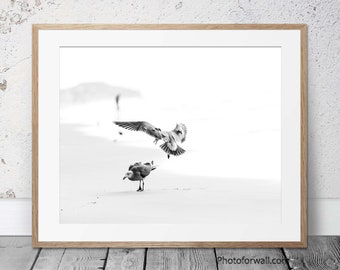 Black and white photography birds on the sand, Nature wall decor in black and white print unframed, Bedroom wall art