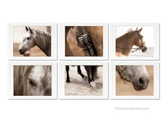 Horse prints, bedroom decor, Horse art, set of 6 prints white and brown horse photography, Large wall art, Gallery wall, living room decor