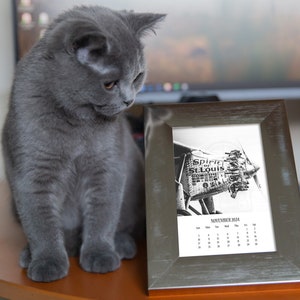 a cat sitting on a table next to a picture frame