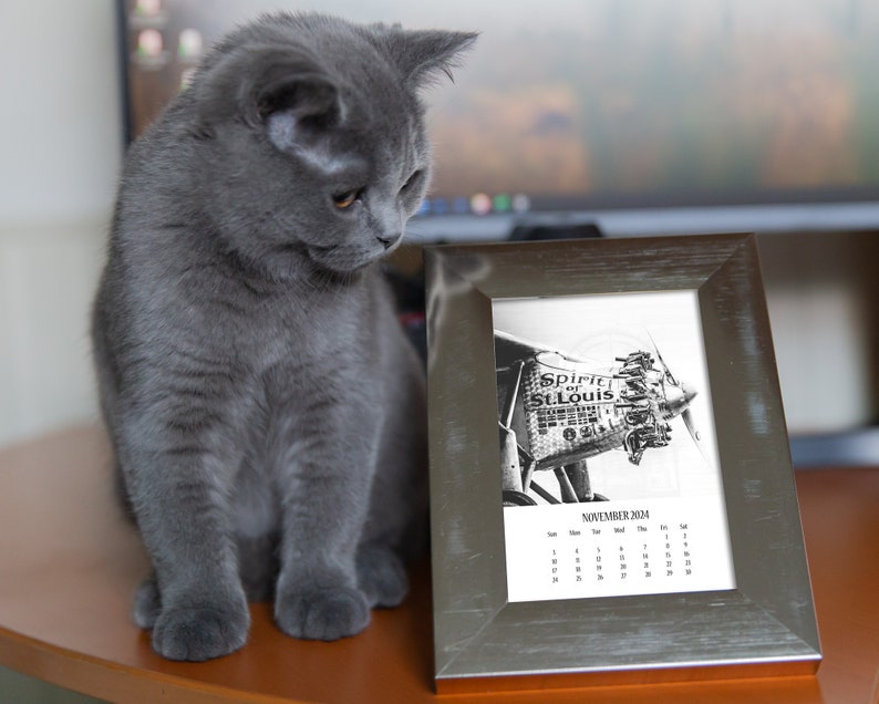 a cat sitting on a table next to a picture frame