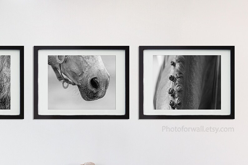 Horses Wall Art Black and White Photography Horse Tack Horse | Etsy