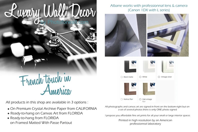 Wall Decor Music Room Gift for Music Lover Music Room Decor Etsy