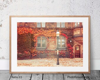 Princeton autumn gifts fall decor rustic home decor, Princeton print, livingroom wall decor, autumn landscape prints large wall art