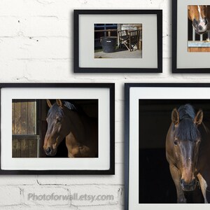 Horse decor/gallery wall/Horse Photography/Horse tack/large wall art/personalized wall decor/girl room decor/horse prints/ image 3