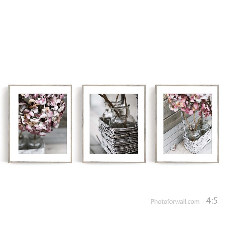 Living Room Wall Art Prints Set of 3 prints hydrangea wall art, nursery decor, bathroom wall decor, Shabby Chic decor large wall art image 1