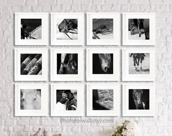 Horse art prints modern set of 12 prints, gallery wall 12 black and white photographs, large wall art, girl office bedroom room decor gift