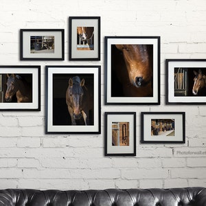 Horse decor/gallery wall/Horse Photography/Horse tack/large wall art/personalized wall decor/girl room decor/horse prints/ image 2