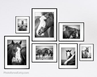 Horse art horse gallery wall art set of 7 Black and white prints Large wall art for nursery or office or bedroom wall decor headboard