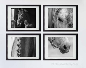 Horses wall art black and white photography, horse tack, horse art/girl room decor, girl room print, bathroom decor horse animal photography