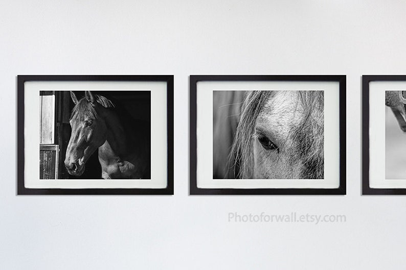 Horses Wall Art Black and White Photography Horse Tack Horse | Etsy