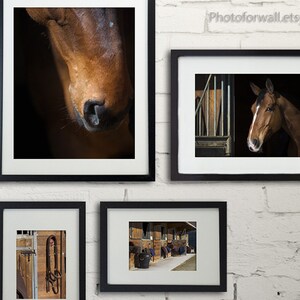Horse decor/gallery wall/Horse Photography/Horse tack/large wall art/personalized wall decor/girl room decor/horse prints/ image 4