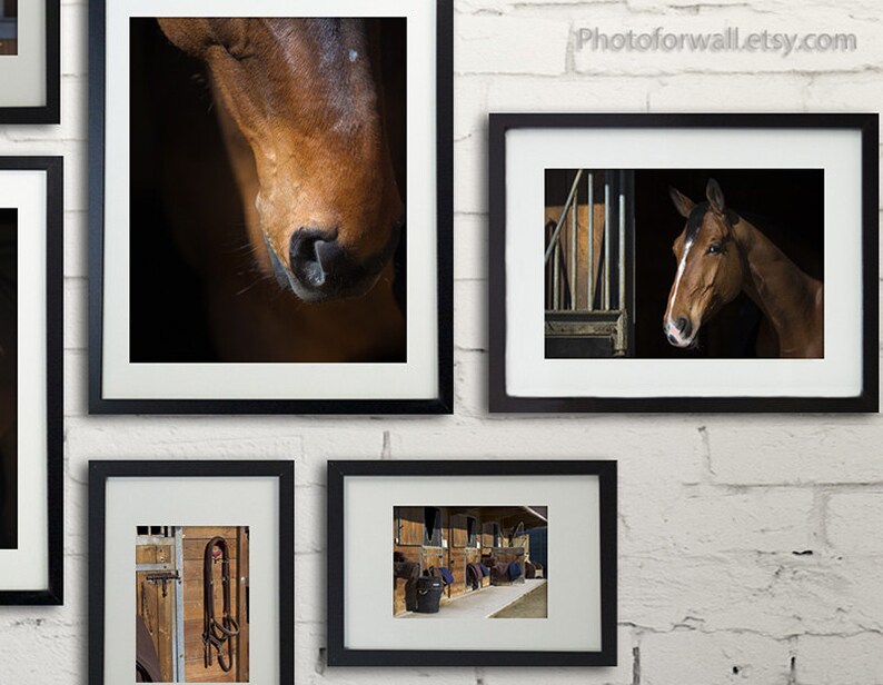 Horse decor/gallery wall/Horse Photography/Horse tack/large wall art/personalized wall decor/girl room decor/horse prints/ image 4