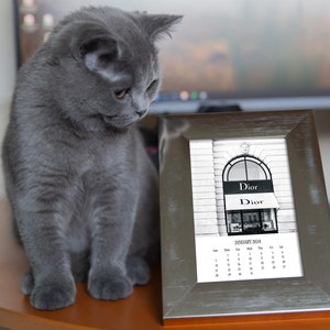 a cat sitting on a table next to a picture frame