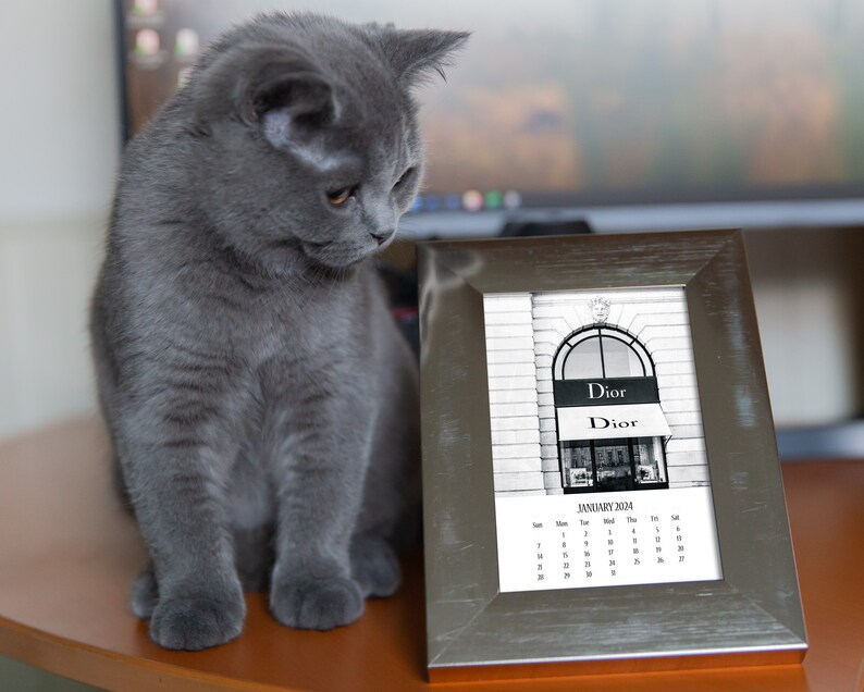 a cat sitting on a table next to a picture frame