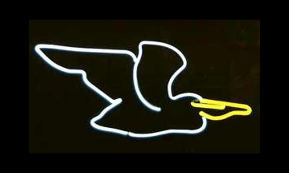 Pelican Handmade Neon Art Wall Hanging Modern Design Bird Etsy