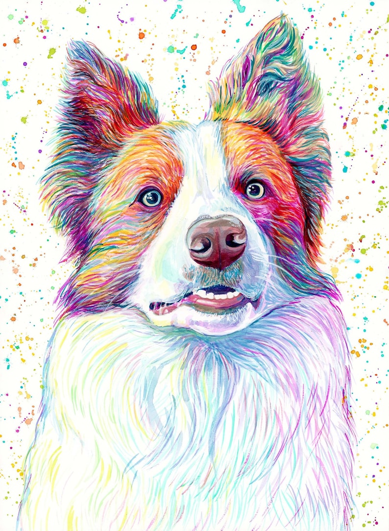 Op de afbeelding: Een kleurrijk aquarel schilderij van een Border Collie hond met een witte achtergrond. De vacht van de hond is geschilderd in tinten blauw, groen, geel, oranje en rood. De ogen van de hond zijn blauw en zijn neus is bruin.