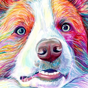 Op de afbeelding: Een kleurrijk aquarel schilderij van een hondenkop. De hond heeft witte vacht met bruin en roze vacht rond de ogen en neus. De tong van de hond steekt uit en zijn ogen zijn wijd open.