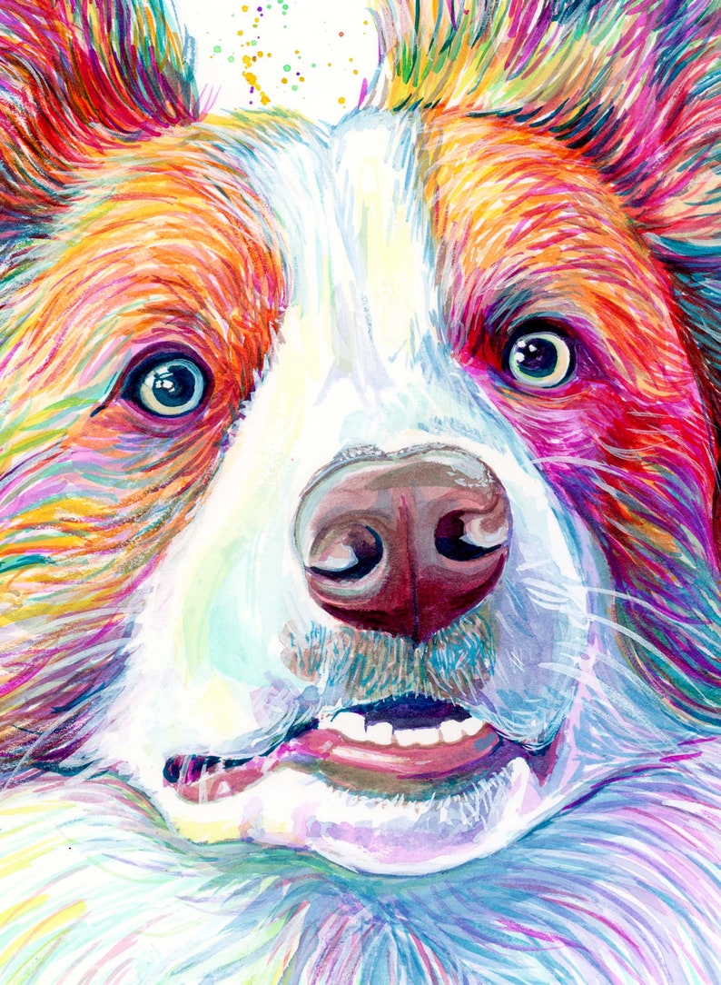 Op de afbeelding: Een kleurrijk aquarel schilderij van een hondenkop. De hond heeft witte vacht met bruin en roze vacht rond de ogen en neus. De tong van de hond steekt uit en zijn ogen zijn wijd open.