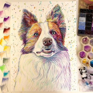 Op de afbeelding: Een aquarel schilderij van een border collie hond met een witte achtergrond. De vacht van de hond is geschilderd in tinten van bruin, rood en paars, met spatten van geel en blauw. De ogen van de hond zijn bruin en zijn tong steekt uit.