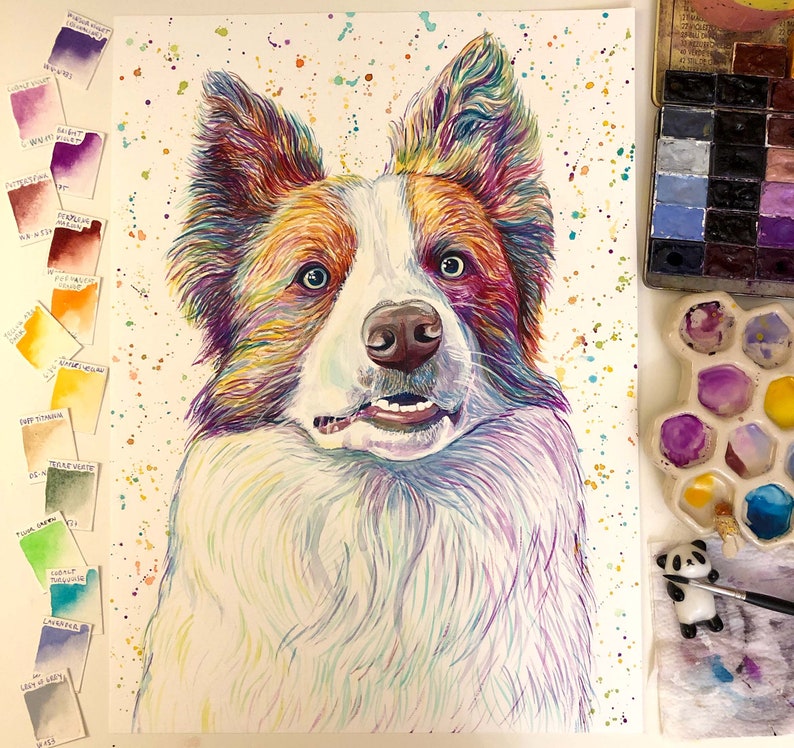 Op de afbeelding: Een aquarel schilderij van een border collie hond met een witte achtergrond. De vacht van de hond is geschilderd in tinten van bruin, rood en paars, met spatten van geel en blauw. De ogen van de hond zijn bruin en zijn tong steekt uit.