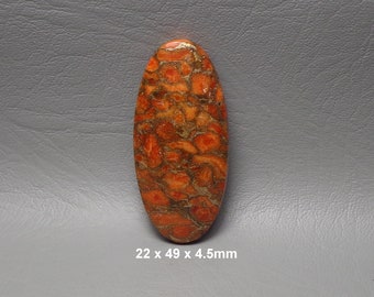 Apple Coral And Bronze Cabochon