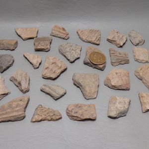 May include: A collection of small, irregularly shaped, tan and gray stone fragments. A gold coin rests on one of the stones. The stones vary in texture and size, with some showing carved patterns.