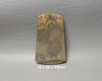 Cotham Fossilized Stromatolite Cabochon