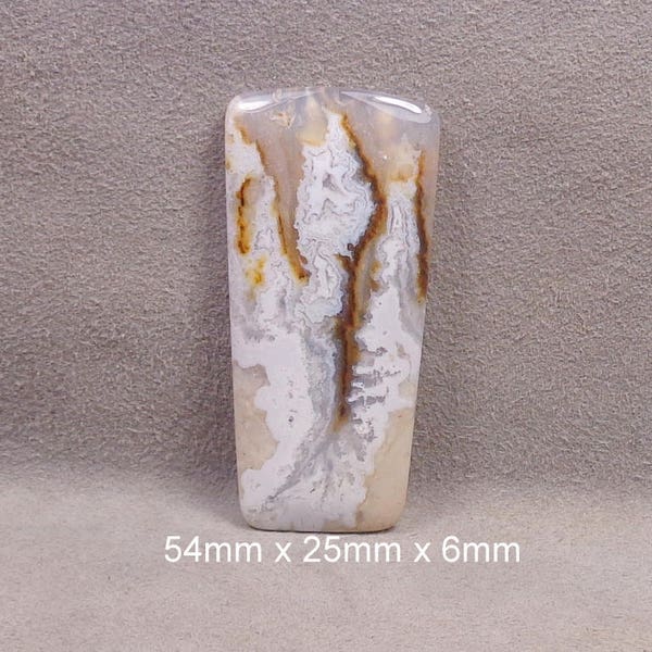 GRAVEYARD POINT PLUME Agate Cabochon