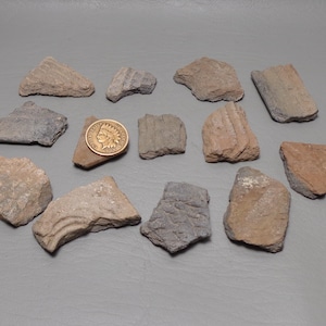 アナサジ族の陶器の破片。[西暦1100年 - 1400年] アリゾナ州ヒーバー地域の私有地で許可を得て収集。ロット番号4