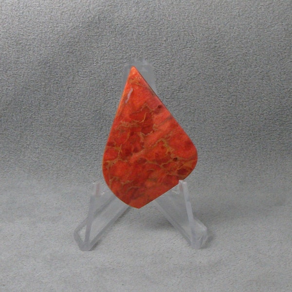 FOSSIL APPLE CORAL Cabochon