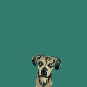 Digital Pet Illustrations