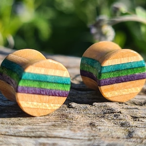 May include: Two wooden ear gauges with a multi-coloured striped pattern. The stripes are shades of green, purple, and brown.