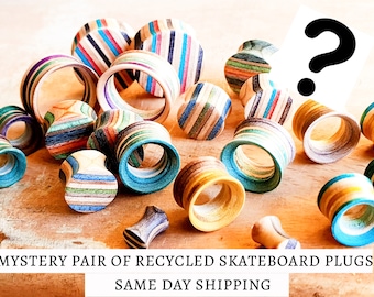 MYSTERY Recycled Skateboards PAIR of PLUGS, Plugs and Tunnels, Ear Gauge, Wooden Plug, Wood Tunnel, Wooden Plugs, Wood Tunnels,