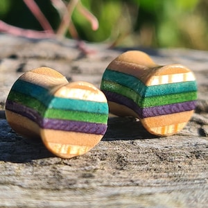 May include: Two wooden ear gauges with a multi-coloured striped pattern. The stripes are shades of green, purple, and brown.