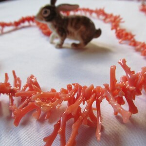 May include: A coral necklace made of small, delicate branches of coral. The coral is a pale pink color and the necklace is laid out in a circle on a white surface.