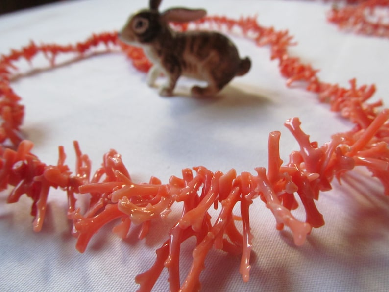 May include: A coral necklace made of small, delicate branches of coral. The coral is a pale pink color and the necklace is laid out in a circle on a white surface.